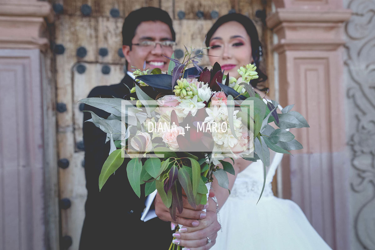bodas en Irapuato Guanajuato
